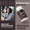 Wheatgrass Powder 60 Capsules  | 1000 Mg