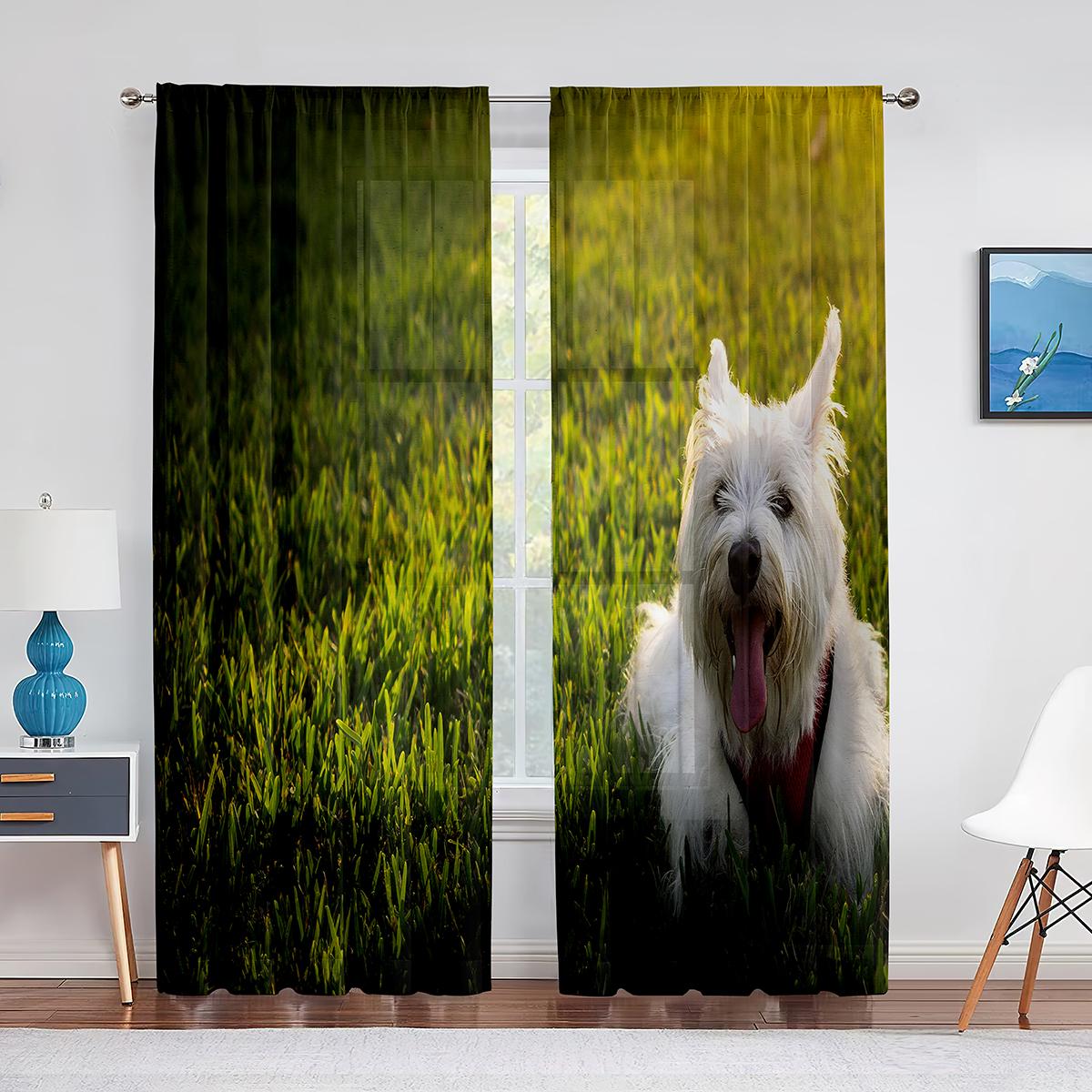Вест-хайленд-уайт-терьер милый Вести-дог прозрачные шторы для гостиной спальни украшения — фото 4