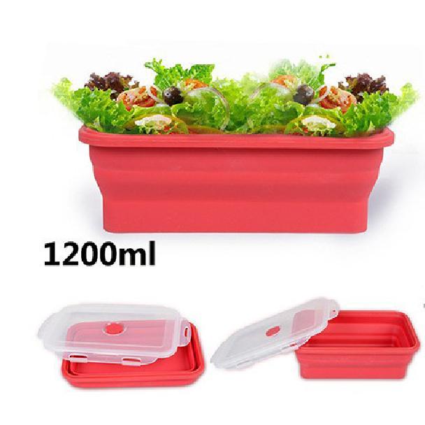 Folding lunch box