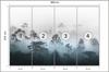 Photomural Forest In Fog Non-Woven 368x254