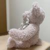 [USED] Afternoon Tea Room Teddy Bear Medium Pink with Tag