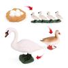 4 PCS Goose Farm Animal Life Cycle Model Simulation Animal Growth Cycle Figure Figurine Set Kid Toy