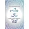 20th Anniversary Edition the Power Of Now Eckhart Tolle Paperback UKN664