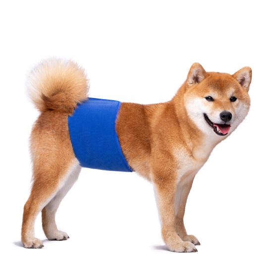 Pet Belly Band Adjustable Leak-proof Fabric Diaper Dog Shorts Pet Physiological Pants for Female Dogs