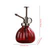 Retro Gardening Watering Can, Small Sprayer For Watering Flowers, Watering Can