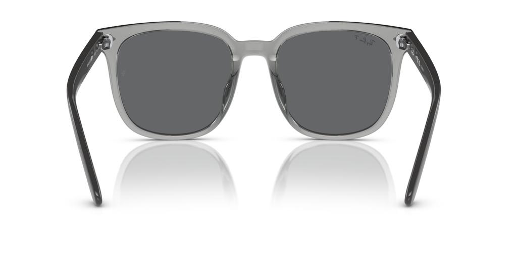 Sunglasses 0RB4401D TRANSPARENT GRAY 55 [Ray-Ban]