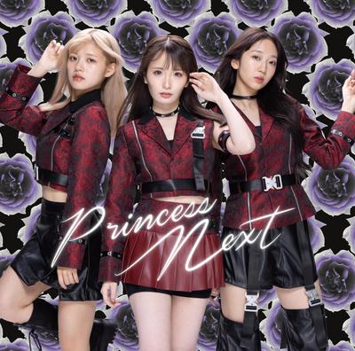 PrincessNext Press Limited PrincessNext (First Edition) - (No Bonus)