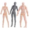 Action Toy Human Postures Man and Woman Drawing Figures Human Mannequin Figure Model Action Figure