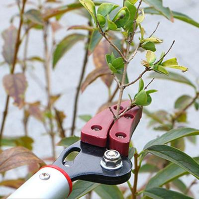Extra Long Reach Pruner with Durable and Lightweight Aluminum Material Suitable for Courtyard Fruit Trees