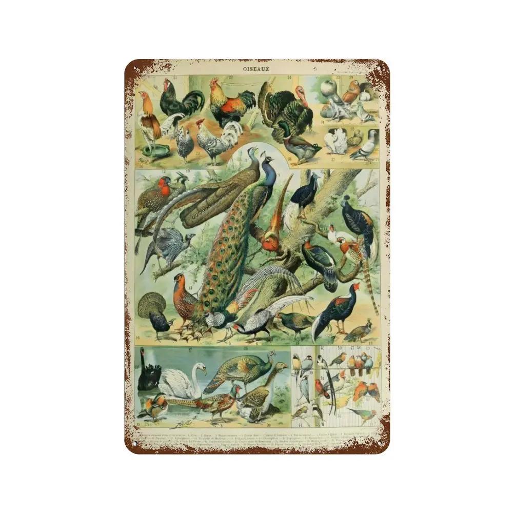 Vintage Pilz Medizin Blume Insekt Schmetterling Gemüse Kürbis Karotte Metall Aluminium Schilder Heim Zimmer Garten Wandkunst Pla