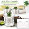 Self Watering Pot for Indoor Plants Clear Glass Planter Small Plant Pot with Saucer Reservoir Drainage Holes Bottom Watering Pot