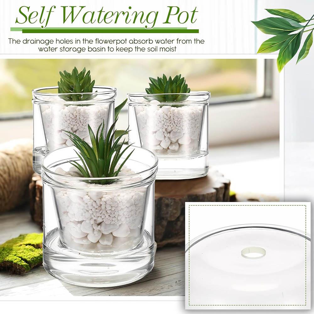 Self Watering Pot for Indoor Plants Clear Glass Planter Small Plant Pot with Saucer Reservoir Drainage Holes Bottom Watering Pot