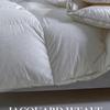 Pure Cotton Silent Down Quilt Five-star Hotel Winter Thickened 95 White Goose Down Quilt Core Silver Silk Long-staple Cotton Quilt