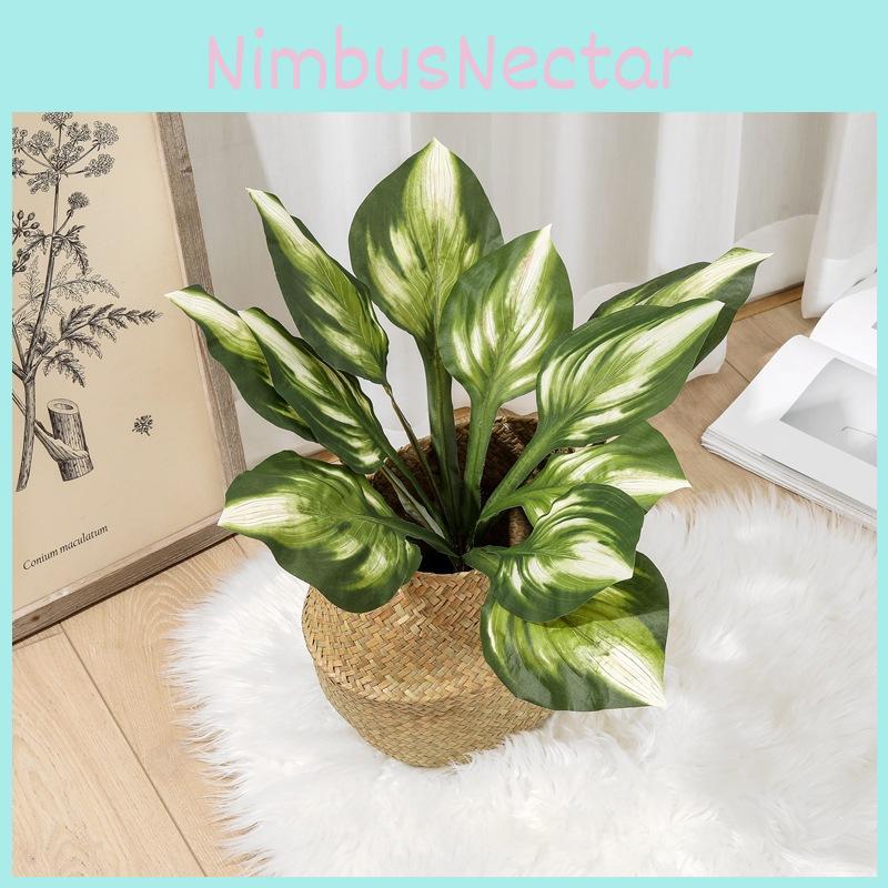 Japonisches Veilchen Kunststoff Var Stenopetala Blatt Für Gartendekorationszubehör