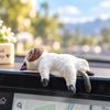 5Pcs Cute Kitten Decoration Creative Sleeping Cat Doll Home Ornaments Toy Cat Car Interior Landscape Decoration Adorable Gifts