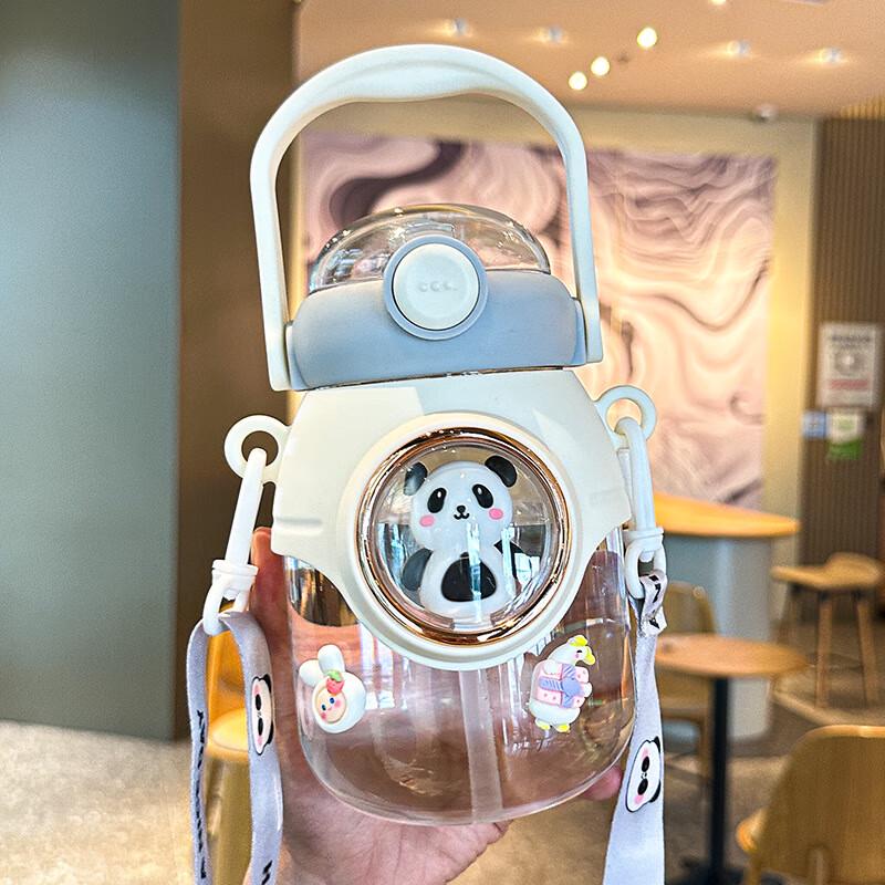 Tingle Space Capsule PC Water Bottle with Straw (950ml)