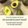 SKINFOOD Avocado & Sugar Lip Scrub (14g)