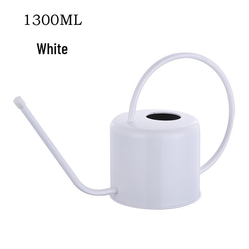 Stainless Steel Watering Can