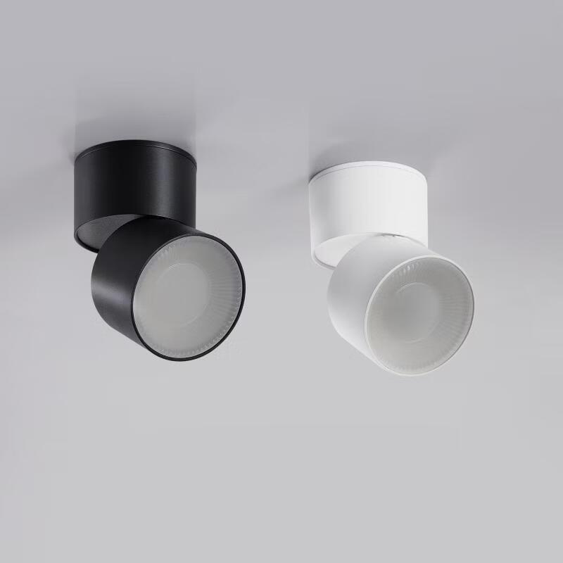 Oeny Adjustable Surface-Mounted LED Downlight