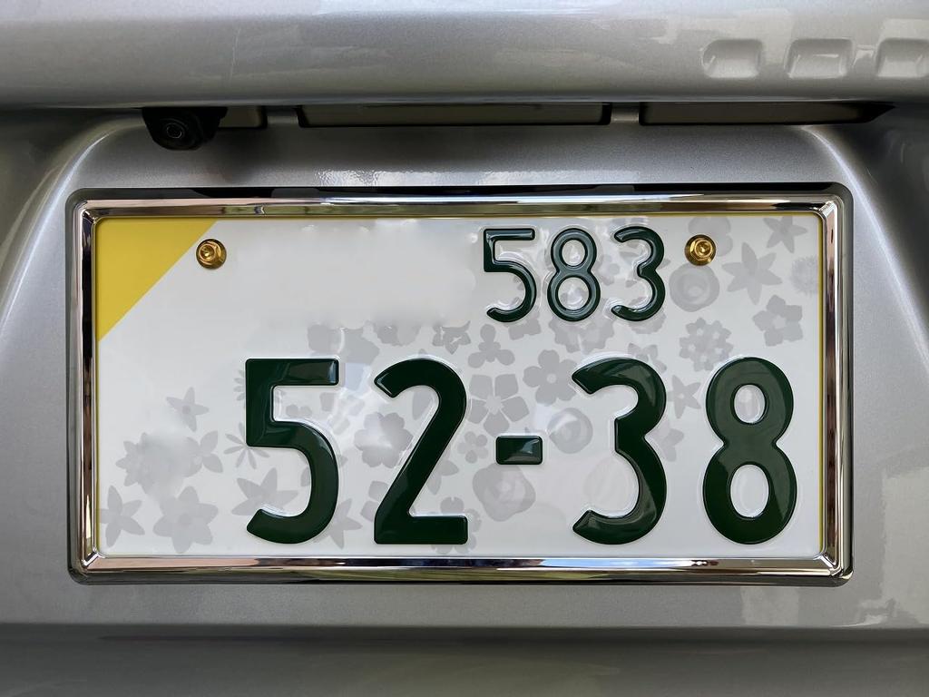 Titanium alloy (64 titanium) license plate bolts (gold color, 4