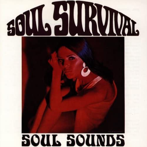 

CD SOUL SURVIVAL - Soul Sounds RTCD901145O Retreat Records 1992 Germany Soul/Funk Used