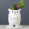 Ceramic Cartoon Flower Pot Cute Succulent Flower Pot Creative Home Gardening Potted Plant