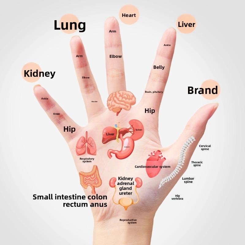 Finger Massager - Roller Type - Massages The Hand Joint Meridians for Circulation and Smoothing.