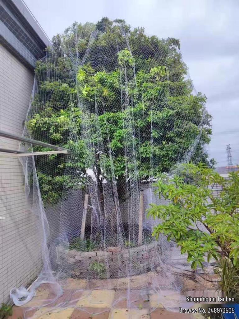 Orchard Anti-Bird Nylon Net for Cherry & Jaboticaba Trees - Sky Grape Protection