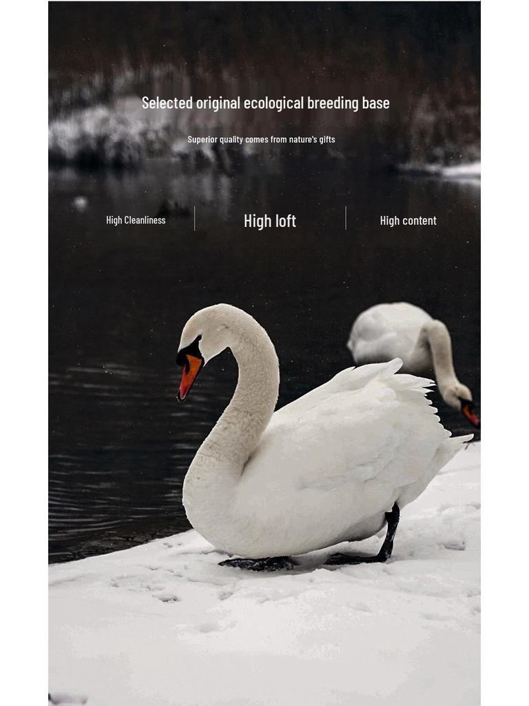 Luxury Goose Down Pillow with Cotton Cover for Neck Support