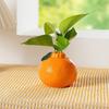 Vaso a Forma di Arancia Piccolo Design Vaso Idroponico Arancia Frutta Decorativa per Casa Ufficio