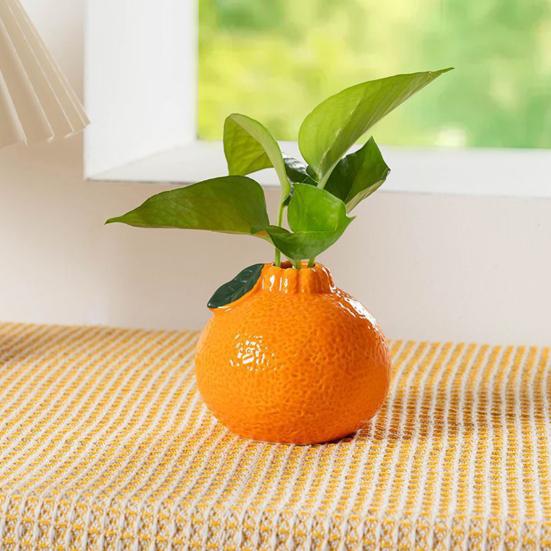 Vaso a Forma di Arancia Piccolo Design Vaso Idroponico Arancia Frutta Decorativa per Casa Ufficio