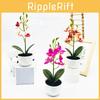 Simulated Phalaenopsis Potted Artificial Artificial Flower For Wedding Decor And Artistic Photography