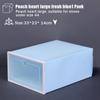 Scatola portascarpe trasparente, organizer tipo cassetto, scarpiera, scatola impilabile in plastica, contenitore separato, semplice scarpiera