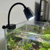 Variable Focus Fish Tank Clip Lamp Aluminum Zinc Zinc Alloy Aquarium Viewing Light  South American Fish Tank