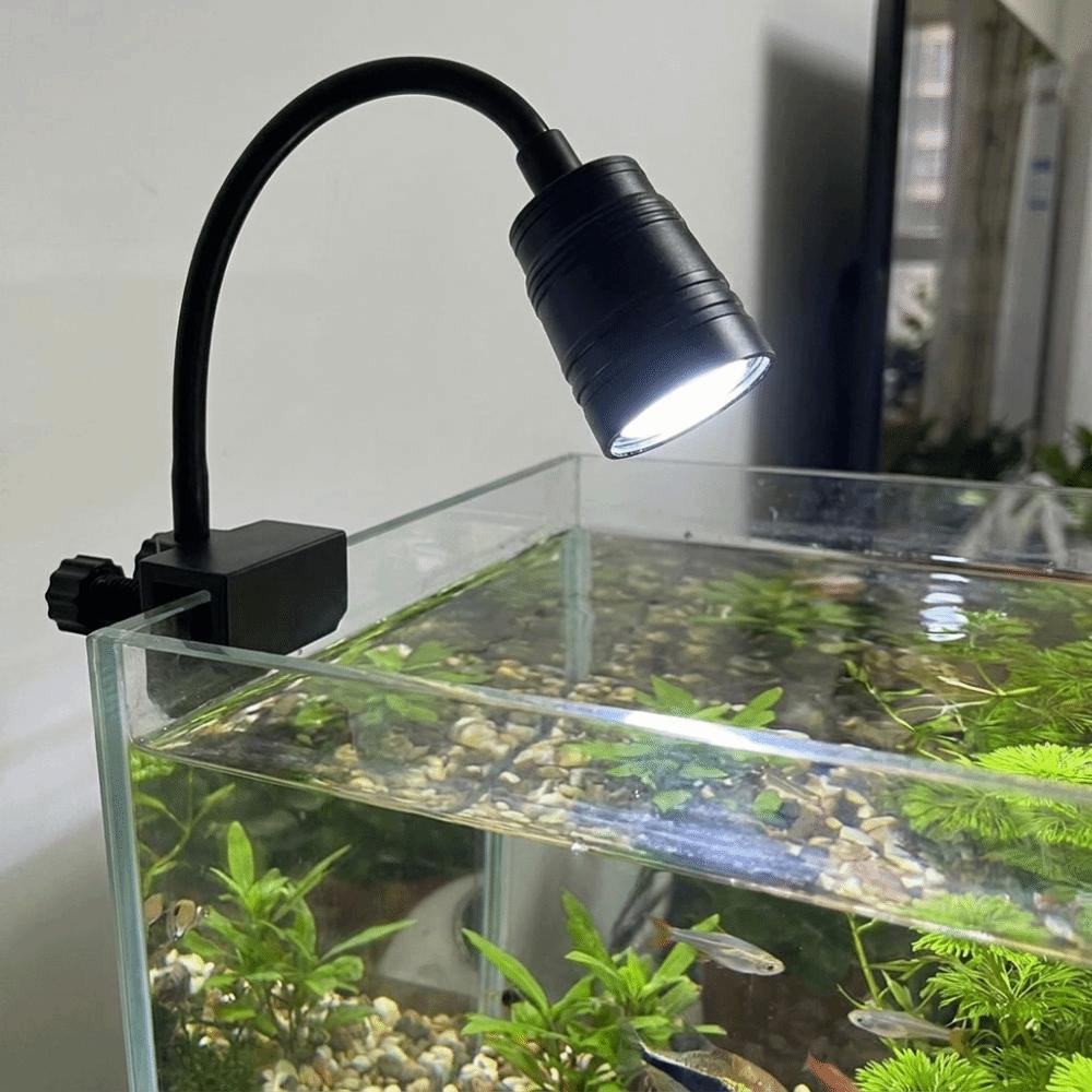 Variable Focus Fish Tank Clip Lamp Aluminum Zinc Zinc Alloy Aquarium Viewing Light South American Fish Tank