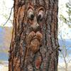 Bark Luminous Tree Face Tree Monster Facial Resin Ornament Easter Outdoor Creative Ornament Decoration