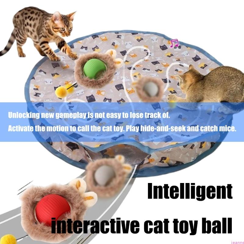 Interactively Hunting Cover Cats Toy Set with Removable Teaser with Large Mats for Indoor Exercise and Mental Stimulation
