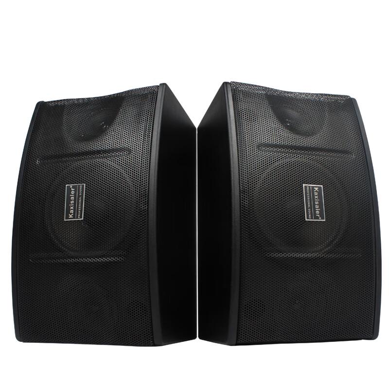 KAXISAIER Professional Passive Conference Speaker