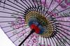 Yamamoto Bamboo Crafts Japanese Silk Umbrella with Cherry Blossom Design and Jointed Dancing Umbrella (YAMAMOTOTAKIZAYIKUYA) Handle, (Purple)