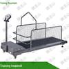 Dog Training Treadmill with Safety Net