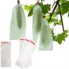 100Pcs Anti-bird Nursery Bags Breathable Insect Barrier Pouch  Garden Greenhouse