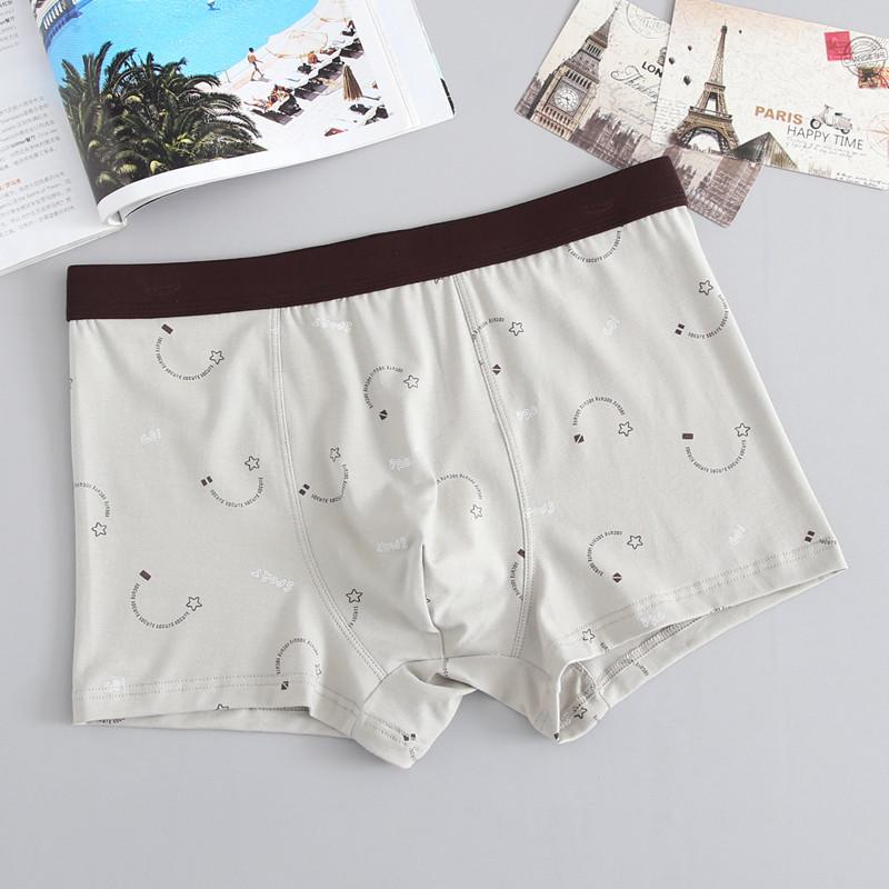 Sexy Herrenunterwäsche aus Baumwolle, atmungsaktiv, mit Aufdruck, Übergröße, flache Unterhose für Männer, mittlere Taille, lockere Passform, dicke Kerle, Jugendliche, Höschen mit vier Ecken