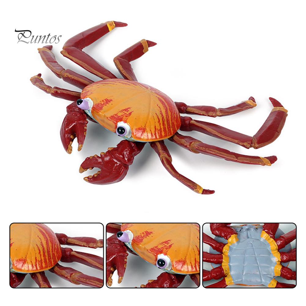 Puntos Kids Toy Simulation Hermit Crab Marine Animal PVC Model Desktop Decor Education