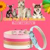 Weewooday 16 Pieces PU Puppy Cat Collar Leather Adjustable Kitten Big Cat Collar Small Pet Collars Colorful Safety Puppy Identification Collar for