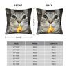Pillow Case Pet Cat Funny memes Comfy  Pillow Cover For Sofa Car Home Decor Cute Funny Pillowcases