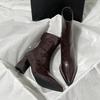 Fashion Autumn Winter Vintage Thick Heel Slim Ankle Boot Women Fashion Pointed Toe Stripper Party Modern Short Botas Para Mujer