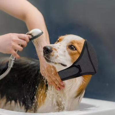 Giyim ve ayakkabı – Köpek Aksesuarları