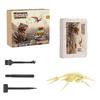 DIY Dinosaur Fossil Excavation Kit for Kids Educational Archaeology Toy Includes Dinosaur Skeleton Model and Excavation Tools for Hands On Learning