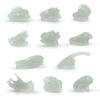 Archaeological Excavation Simulation Luminous Skull Model Dinosaur Animal Triceratops Saber-Toothed Tiger Fossil Skeleton Ornament