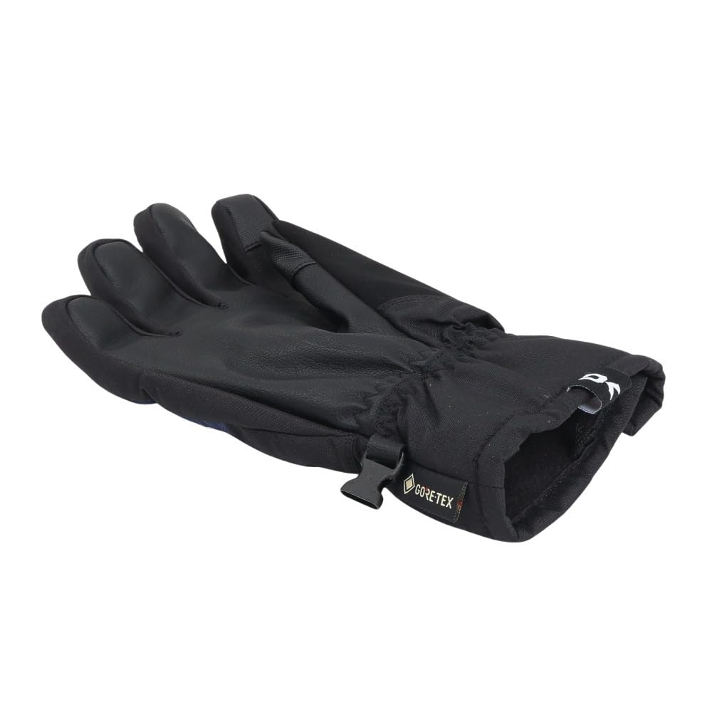 Men's SATURN GORE-TEX Snow Gloves (BE237730)